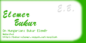 elemer bukur business card